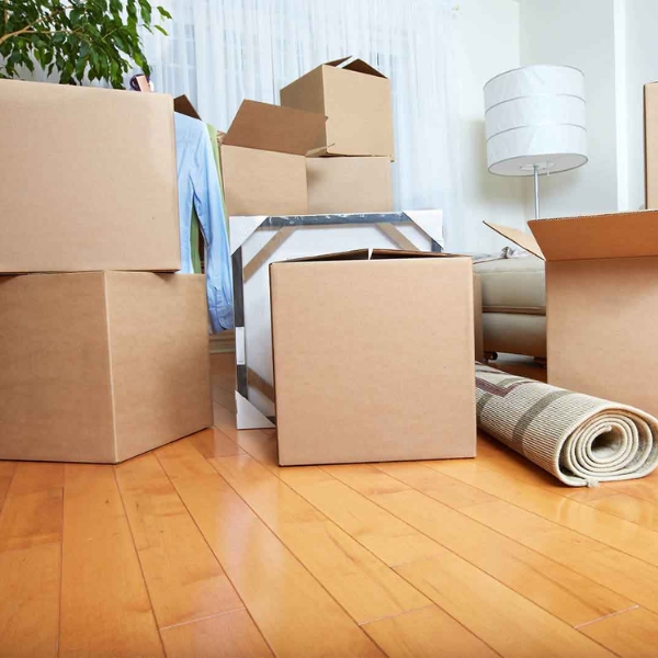Reliable removals in Surrey